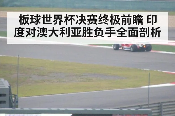 板球世界杯决赛终极前瞻 印度对澳大利亚胜负手全面剖析