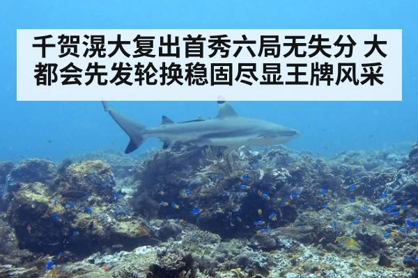 千贺滉大复出首秀六局无失分 大都会先发轮换稳固尽显王牌风采